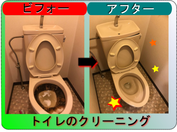 ゴミ屋敷ルームクリーニングトイレ便所|大阪-神戸-京都-奈良-滋賀-関西